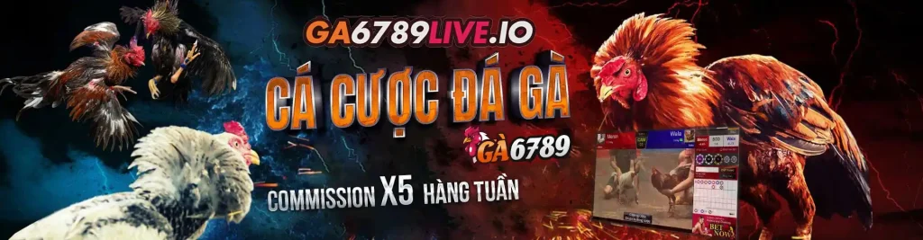 banner da ga thomo ga6789 cuoc ga dinh cao thang lon moi ngay