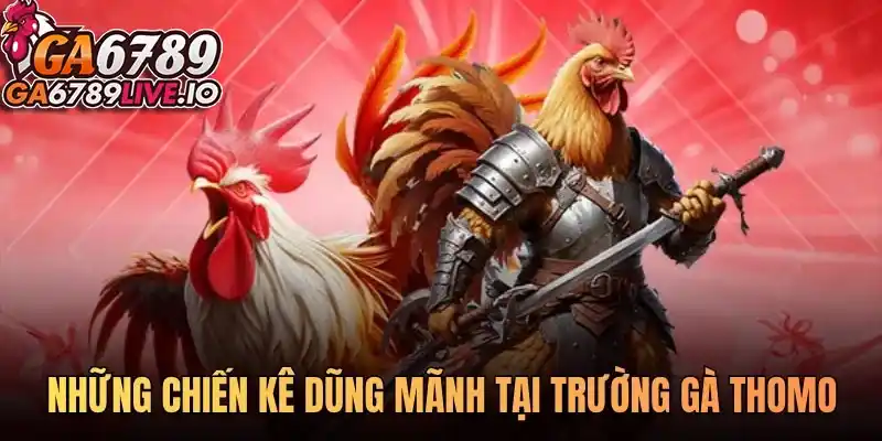 Những chiến kê dũng mãnh tại trường gà Thomo