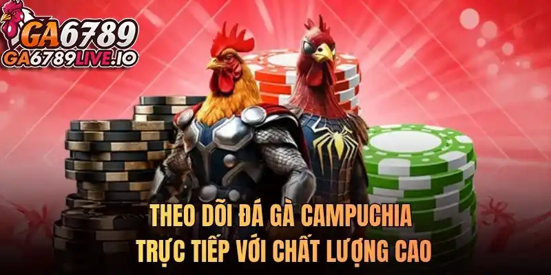 Theo dõi đá gà Campuchia trực tiếp với chất lượng cao