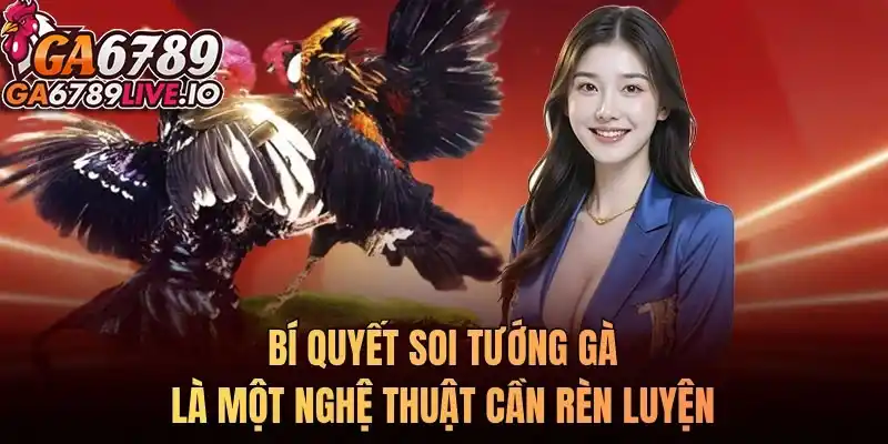 Bí quyết soi tướng gà là một nghệ thuật cần thời gian rèn luyện