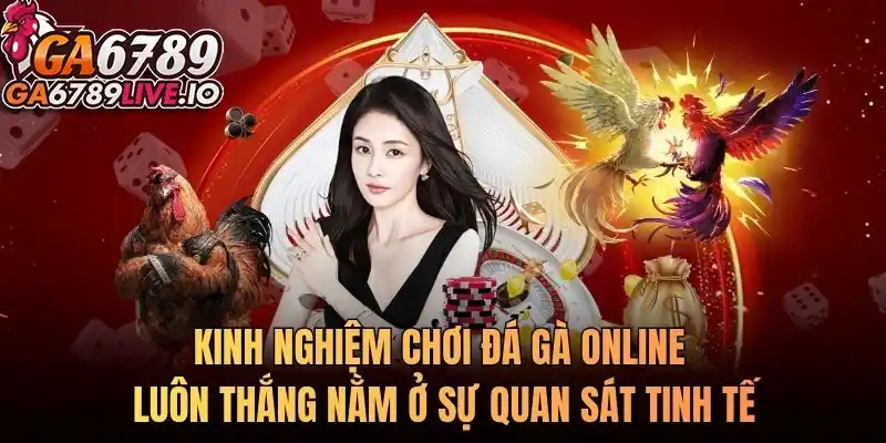 Kinh nghiệm chơi đá gà online luôn thắng nằm ở sự quan sát tinh tế