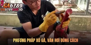 Phương pháp xổ gà vần hơi đúng cách - Bí quyết đỉnh cao cho sư kê