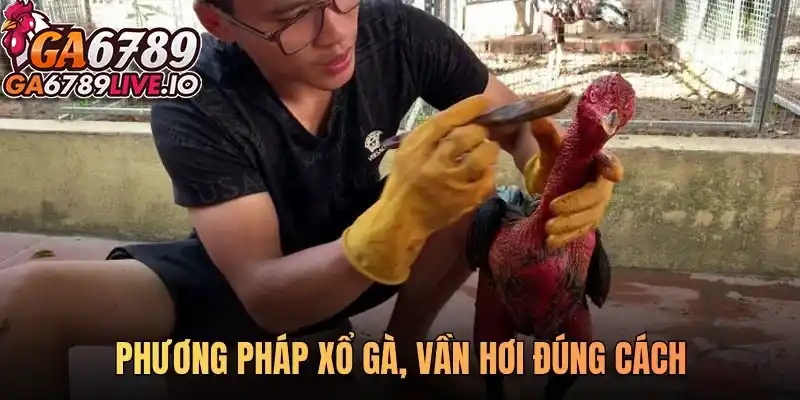 Phương pháp xổ gà vần hơi đúng cách - Bí quyết đỉnh cao cho sư kê