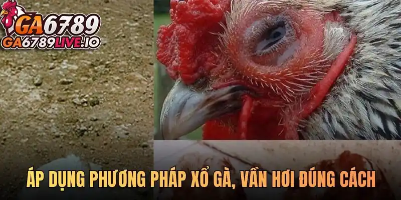 Áp dụng phương pháp xổ gà vần hơi đúng cách