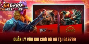 Quản lý vốn khi chơi đá gà - Bí quyết cược thông minh và bền vững