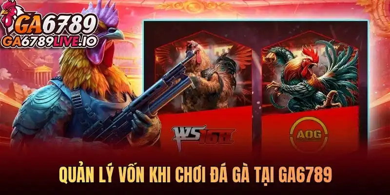 Quản lý vốn khi chơi đá gà - Bí quyết cược thông minh và bền vững