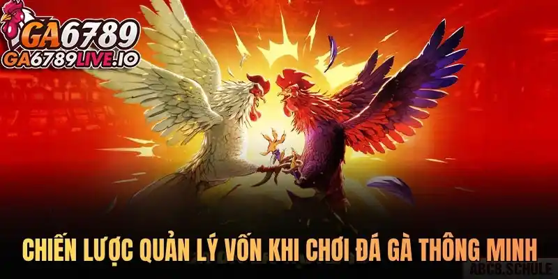 Chiến lược quản lý vốn khi chơi đá gà thông minh