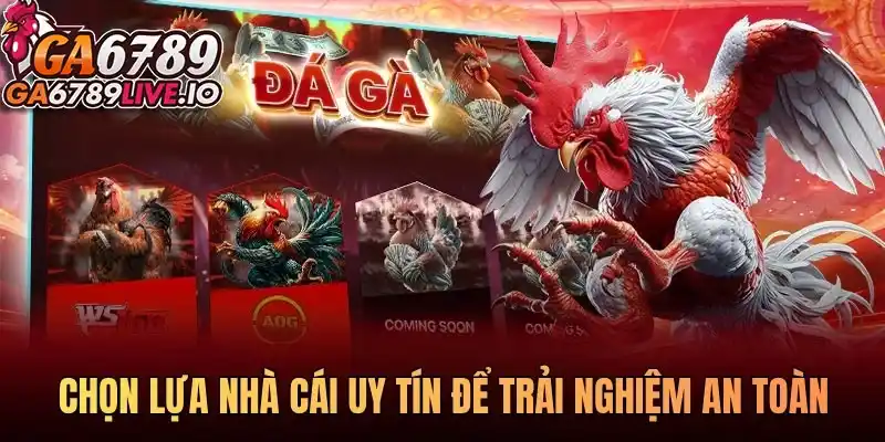 Chọn lựa nhà cái uy tín để trải nghiệm an toàn