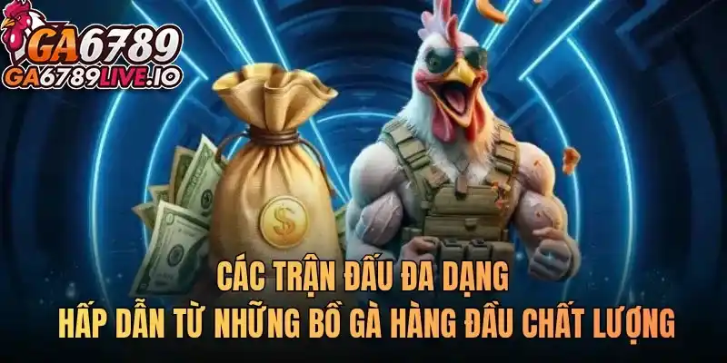 Các trận đấu đa dạng hấp dẫn từ những bồ gà hàng đầu chất lượng