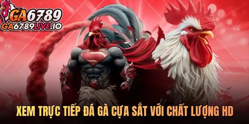 Xem trực tiếp đá gà cựa sắt với chất lượng HD