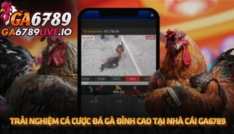 Trải nghiệm cá cược đá gà đỉnh cao tại nhà cái Ga6789