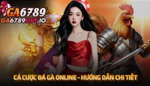 Cá cược đá gà online - Hướng dẫn toàn tập cho người mới