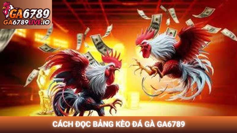 Cách đọc bảng kèo đá gà Ga6789 chuẩn xác và hiệu quả nhất 2026