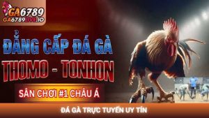 Đá gà trực tuyến uy tín và xu hướng giải trí bền vững năm 2026