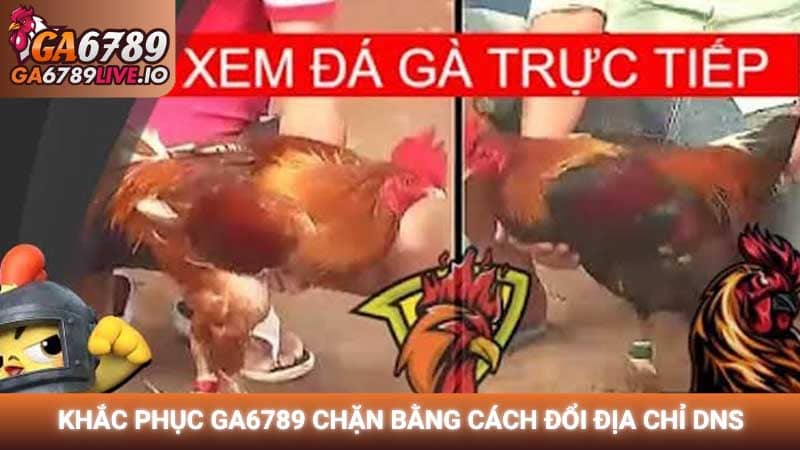 Khắc phục GA6789 chặn bằng cách đổi địa chỉ DNS