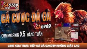 Link xem trực tiếp đá gà Ga6789 không giật lag và bí quyết theo dõi đỉnh cao 2026